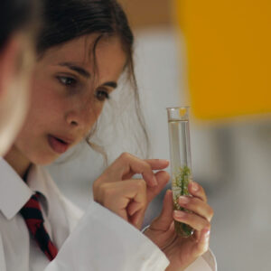 independent school uk